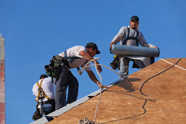 Best Roof Gutter Cleaning  in Lawrencevle, IL